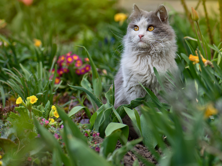 お客様の声をご紹介