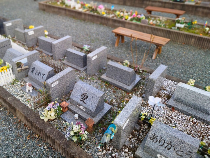 ペットの納骨方法について
