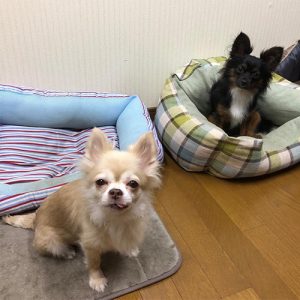 タクト＆よね