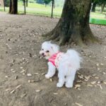 リードの持ち方