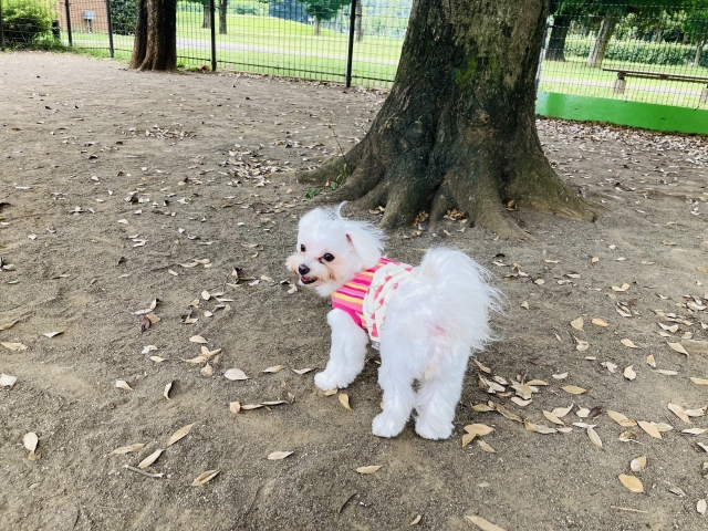 リードの持ち方