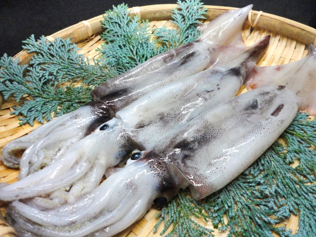 猫に与えてはいけない食べ物は？