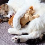 12月の法要日