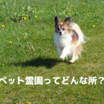 ペット霊園ってどんな所？