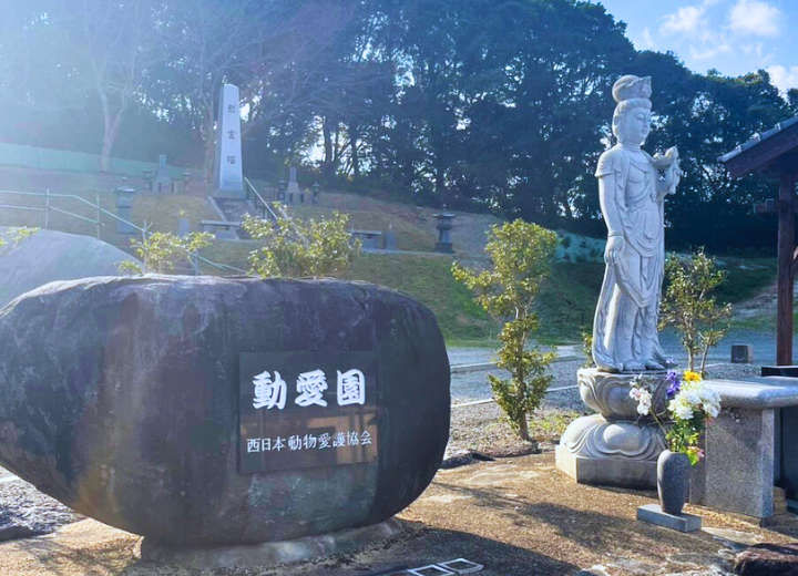 【福岡 ペット霊園】ペット 火葬後の納骨はどう選ぶ？